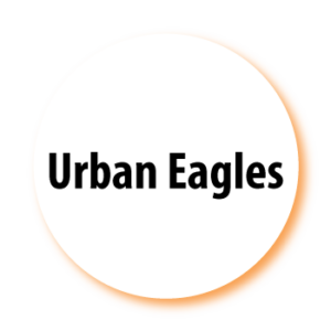 Urban Eagles