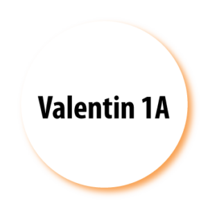 Valentin 1A