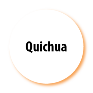 Quichua