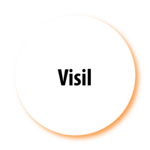 Visil