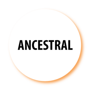 ANCESTRAL